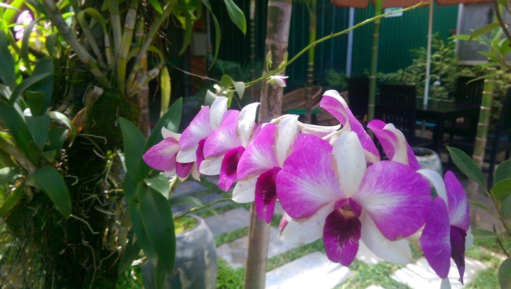 Siem Reap Green Home Guesthouse מראה חיצוני תמונה